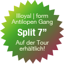 Split Vinyl auf der Tour erhältlich